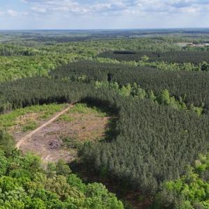 Photo #88 of 2990 Whites Chapel Road, Phenix, VA 414.5 acres