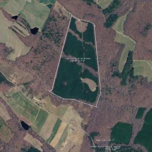 Photo #98 of 2990 Whites Chapel Road, Phenix, VA 414.5 acres