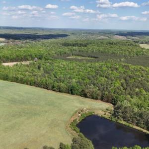 Photo #94 of 2990 Whites Chapel Road, Phenix, VA 414.5 acres