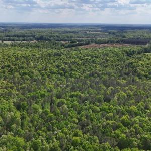 Photo #95 of 2990 Whites Chapel Road, Phenix, VA 414.5 acres