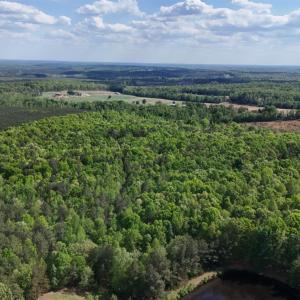 Photo #87 of 2990 Whites Chapel Road, Phenix, VA 414.5 acres