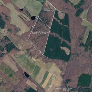 Photo #97 of 2990 Whites Chapel Road, Phenix, VA 414.5 acres