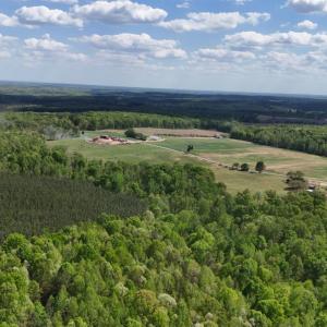 Photo #73 of 2990 Whites Chapel Road, Phenix, VA 414.5 acres