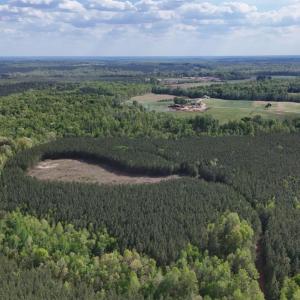 Photo #78 of 2990 Whites Chapel Road, Phenix, VA 414.5 acres