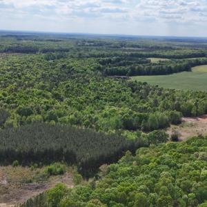 Photo #82 of 2990 Whites Chapel Road, Phenix, VA 414.5 acres