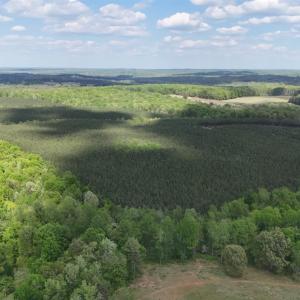 Photo #76 of 2990 Whites Chapel Road, Phenix, VA 414.5 acres