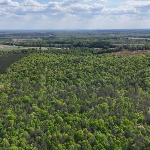 Photo #90 of 2990 Whites Chapel Road, Phenix, VA 414.5 acres