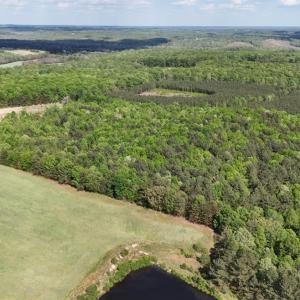 Photo #79 of 2990 Whites Chapel Road, Phenix, VA 414.5 acres
