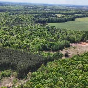 Photo #81 of 2990 Whites Chapel Road, Phenix, VA 414.5 acres