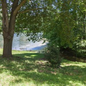 Photo #10 of 105 Cygnet Circle, Forest, VA 1.0 acres