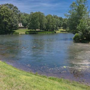 Photo #87 of 105 Cygnet Circle, Forest, VA 1.0 acres
