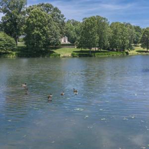 Photo #88 of 105 Cygnet Circle, Forest, VA 1.0 acres