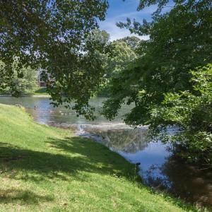Photo #9 of 105 Cygnet Circle, Forest, VA 1.0 acres