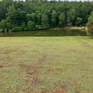 Photo #5 of 245 Minors Mountain Trail, Monroe, VA 4.0 acres
