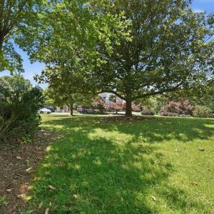 Photo #77 of 1819 Royal Oak Drive, Lynchburg, VA 1.1 acres