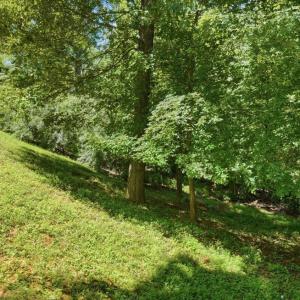Photo #69 of 1819 Royal Oak Drive, Lynchburg, VA 1.1 acres