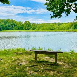 Photo #51 of 237 LOBO LANE, Arrington, VA 4.2 acres