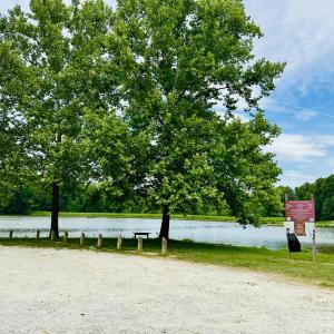 Photo #49 of 237 LOBO LANE, Arrington, VA 4.2 acres