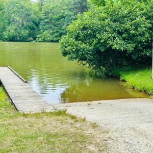 Photo #50 of 237 LOBO LANE, Arrington, VA 4.2 acres