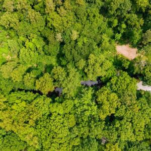 Photo #51 of 3605 Willow Lawn, Lynchburg, VA 4.2 acres