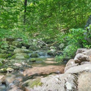 Photo #80 of 1272 Stoney Way, Bedford, VA 10.1 acres