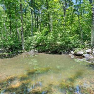 Photo #78 of 1272 Stoney Way, Bedford, VA 10.1 acres