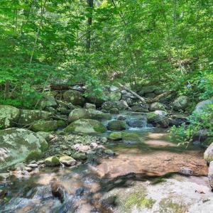 Photo #81 of 1272 Stoney Way, Bedford, VA 10.1 acres