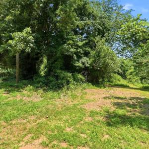 Photo #41 of 60 Jefferson Ln., Arrington, VA 2.1 acres