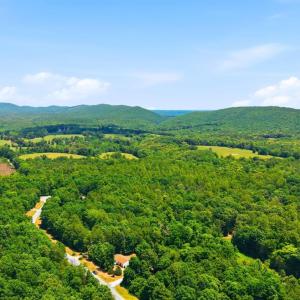 Photo #62 of 60 Jefferson Ln., Arrington, VA 2.1 acres