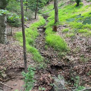 Photo #47 of 356 Juniper Drive, Lynchburg, VA 1.1 acres