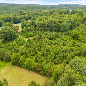 Photo #45 of 34941 US HWY 29, Gretna, VA 8.2 acres