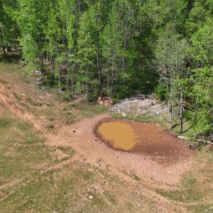 Photo #9 of 2990 Whites Chapel Road, Phenix, VA 17.0 acres