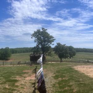 Photo #53 of 2990 Whites Chapel Road, Phenix, VA 17.0 acres
