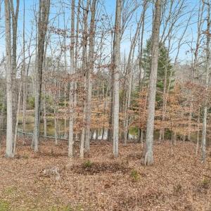 Photo #49 of 1099 Rising Star Drive, Bedford, VA 5.0 acres
