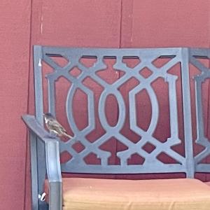 Photo #81 of 1099 Rising Star Drive, Bedford, VA 5.0 acres