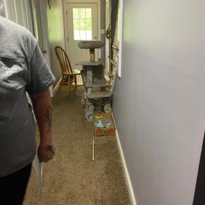 Photo #28 of 1633 McCrae Road, Bedford, VA 21.3 acres