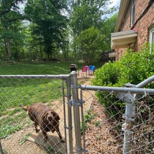 Photo #8 of 1633 McCrae Road, Bedford, VA 21.3 acres