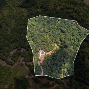Photo #69 of 1614 Venturous Trail, Goode, VA 32.0 acres