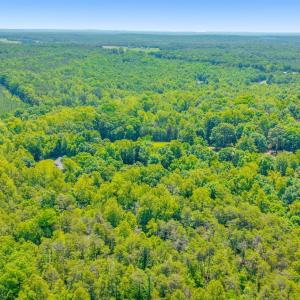 Photo #38 of 430 Watt Abbitt Road, Appomattox, VA 22.3 acres