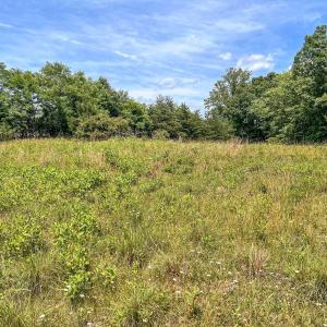Photo #4 of 2050 High Peak Rd, Monroe, VA 10.0 acres