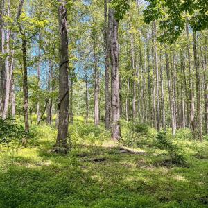 Photo #47 of 2050 High Peak Rd, Monroe, VA 10.0 acres