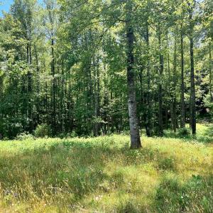 Photo #43 of 2050 High Peak Rd, Monroe, VA 10.0 acres