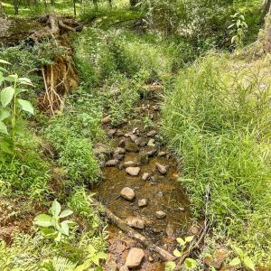 Photo #44 of 2050 High Peak Rd, Monroe, VA 10.0 acres