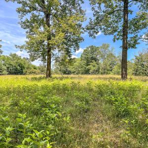 Photo #46 of 2050 High Peak Rd, Monroe, VA 10.0 acres