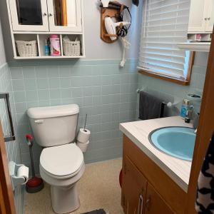 Photo #14 of 243 Camden Drive, Madison Heights, VA 1.5 acres