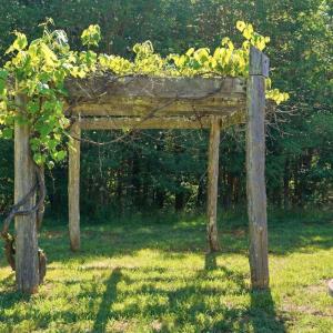 Photo #37 of 243 Camden Drive, Madison Heights, VA 1.5 acres