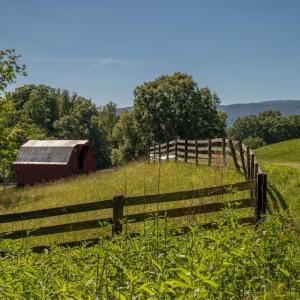 Photo #13 of 355 Bellevue, Amherst, VA 71.3 acres