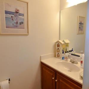 Photo #19 of 544 Lady Slipper Lane, Lynchburg, VA 0.4 acres