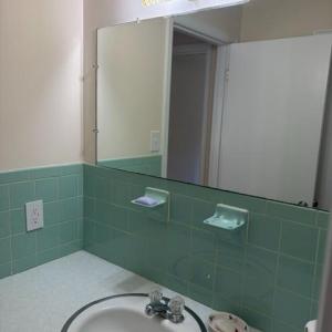 Photo #18 of 103 Idlebrook Drive, Madison Heights, VA 0.8 acres