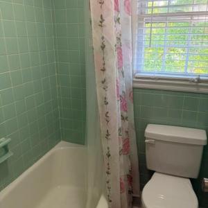 Photo #16 of 103 Idlebrook Drive, Madison Heights, VA 0.8 acres